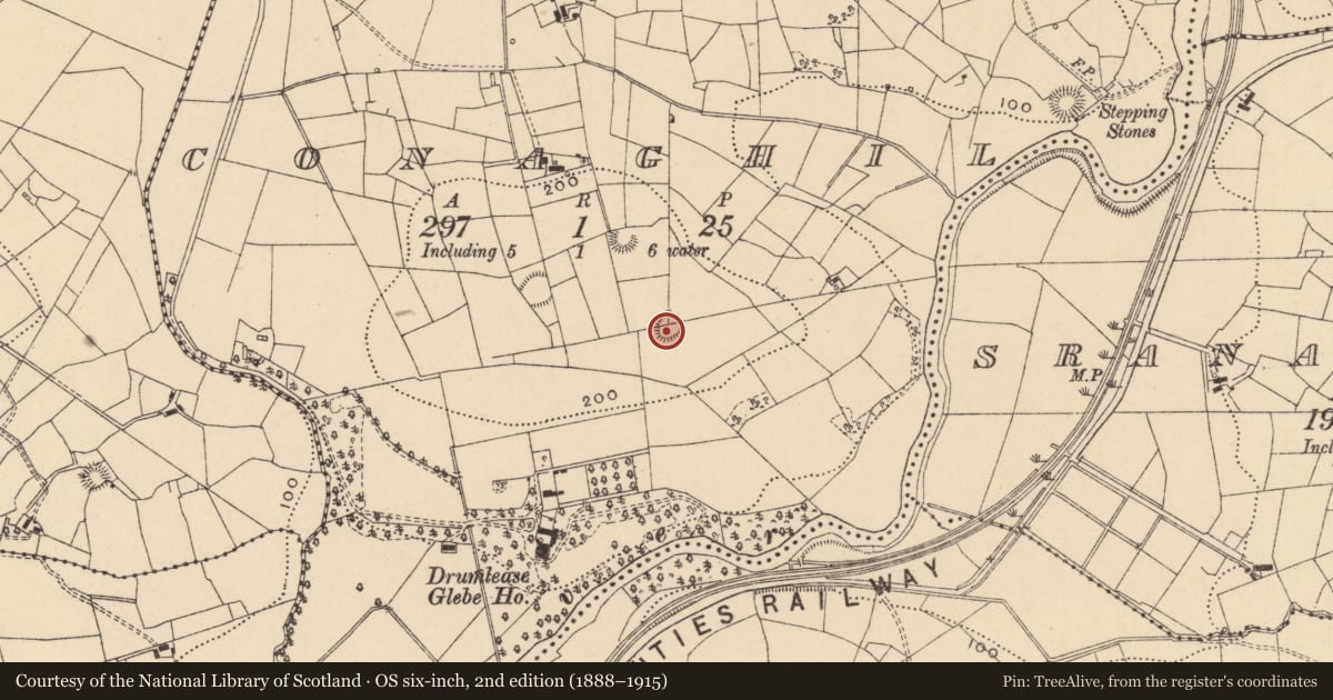 Ordnance Survey six-inch map, 2nd edition (1888–1915) covering the location of Ringfort - rath, Conaghil, County Leitrim, with a pin at the register's coordinates