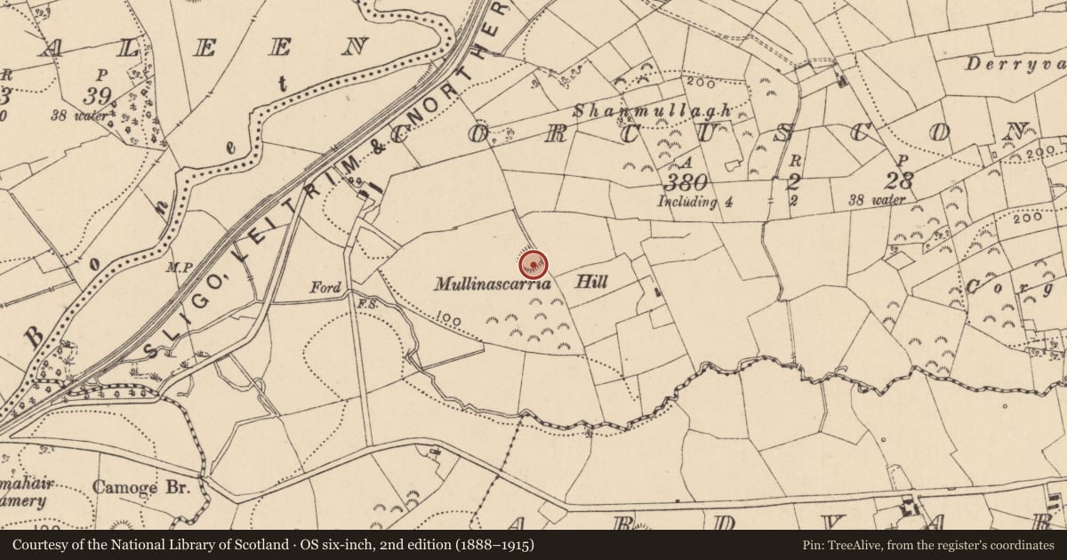 Ordnance Survey six-inch map, 2nd edition (1888–1915) covering the location of Ringfort - rath, Corcusconny, County Leitrim, with a pin at the register's coordinates