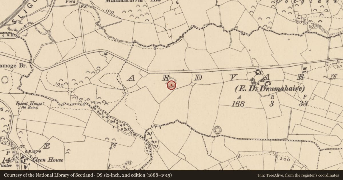 Ordnance Survey six-inch map, 2nd edition (1888–1915) covering the location of Ringfort - rath, Ardvarney, County Leitrim, with a pin at the register's coordinates
