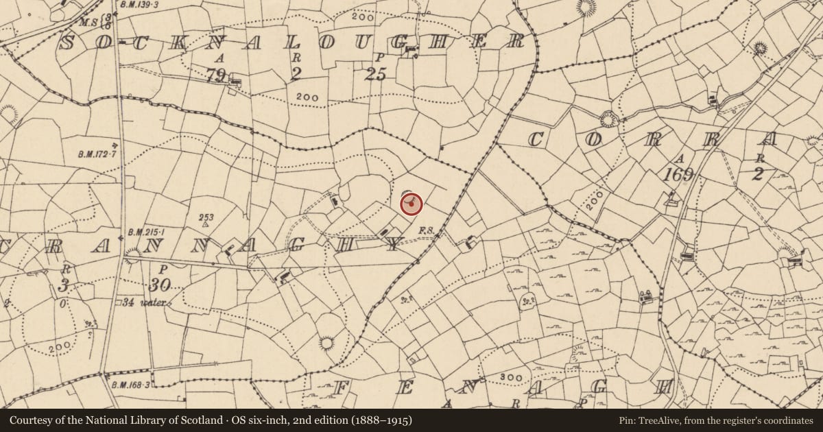 Ordnance Survey six-inch map, 2nd edition (1888–1915) covering the location of Ringfort - cashel, Sranacrannaghy, County Leitrim, with a pin at the register's coordinates
