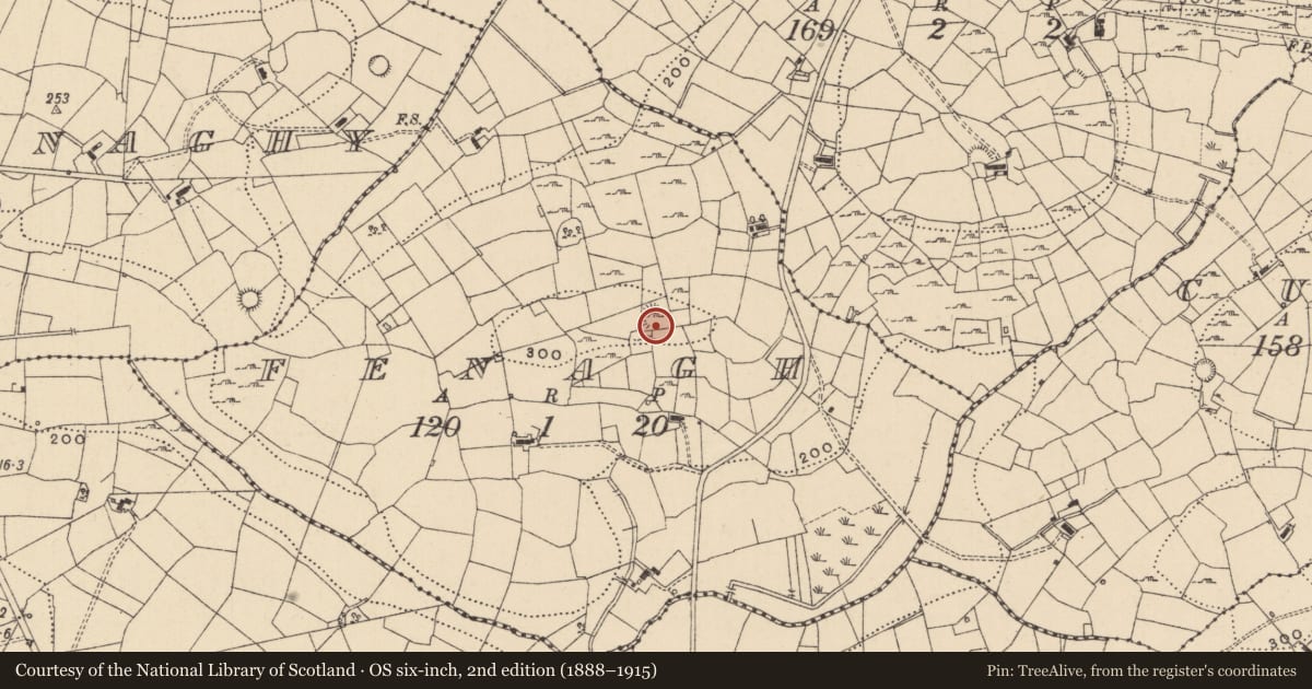 Ordnance Survey six-inch map, 2nd edition (1888–1915) covering the location of Ringfort - cashel, Fenagh, County Leitrim, with a pin at the register's coordinates