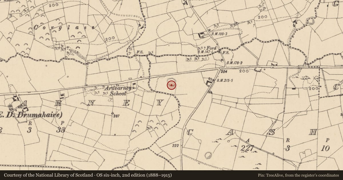 Ordnance Survey six-inch map, 2nd edition (1888–1915) covering the location of Ringfort - rath, Cashel, County Leitrim, with a pin at the register's coordinates