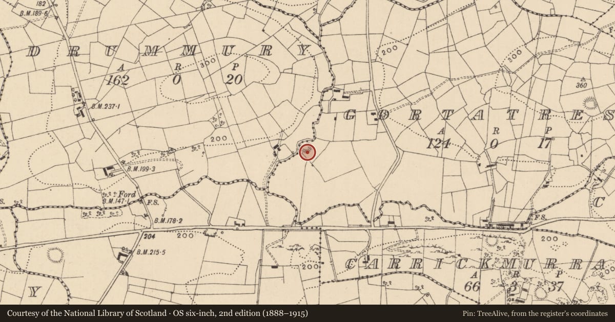 Ordnance Survey six-inch map, 2nd edition (1888–1915) covering the location of Ringfort - rath, Gortatresk, County Leitrim, with a pin at the register's coordinates