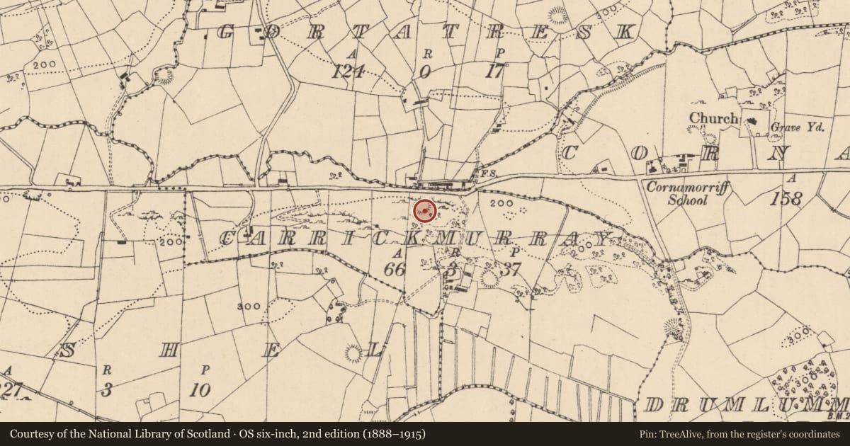 Ordnance Survey six-inch map, 2nd edition (1888–1915) covering the location of Ringfort - rath, Carrickmurray, County Leitrim, with a pin at the register's coordinates
