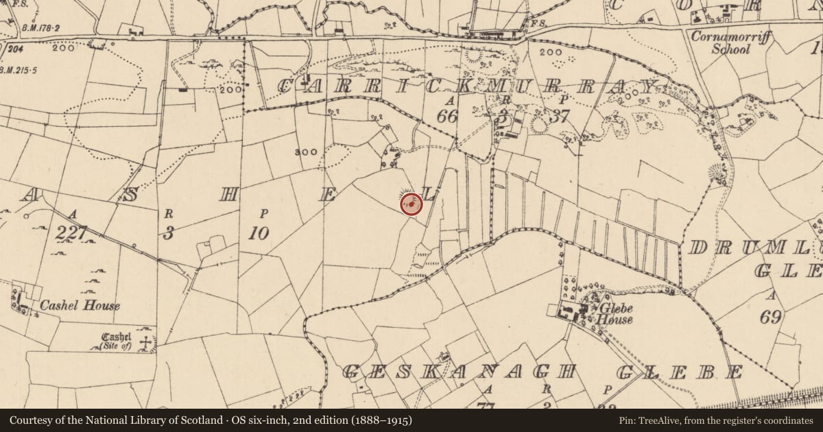 Ordnance Survey six-inch map, 2nd edition (1888–1915) covering the location of Ringfort - cashel, County Leitrim, with a pin at the register's coordinates