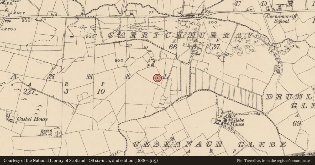 Ordnance Survey six-inch map, 2nd edition (1888–1915) covering the location of House - indeterminate date, Cashel, County Leitrim, with a pin at the register's coordinates