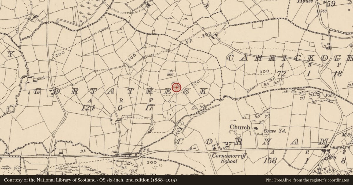 Ordnance Survey six-inch map, 2nd edition (1888–1915) covering the location of Ringfort - rath, Gortatresk, County Leitrim, with a pin at the register's coordinates