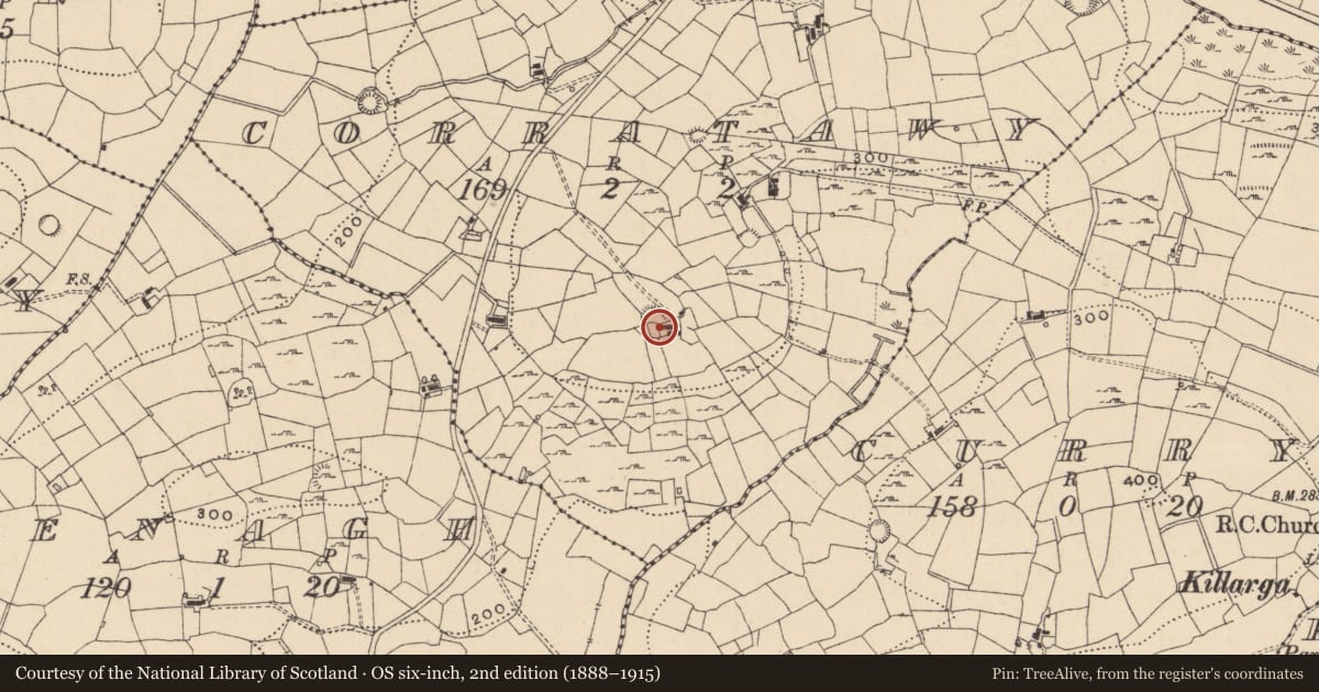 Ordnance Survey six-inch map, 2nd edition (1888–1915) covering the location of Ringfort - rath, Corratawy, County Leitrim, with a pin at the register's coordinates