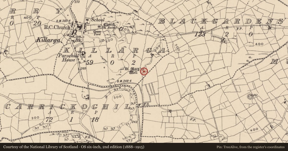 Ordnance Survey six-inch map, 2nd edition (1888–1915) covering the location of Ritual site - holy well, Killarga, County Leitrim, with a pin at the register's coordinates