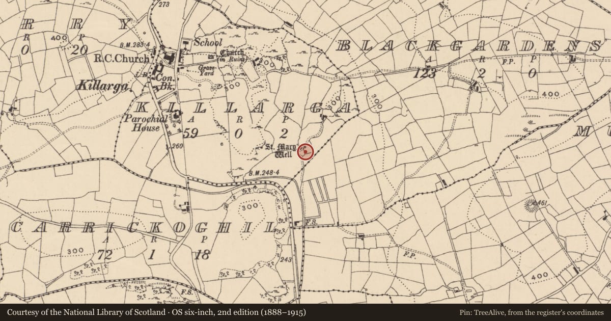 Ordnance Survey six-inch map, 2nd edition (1888–1915) covering the location of Cross, Killarga, County Leitrim, with a pin at the register's coordinates