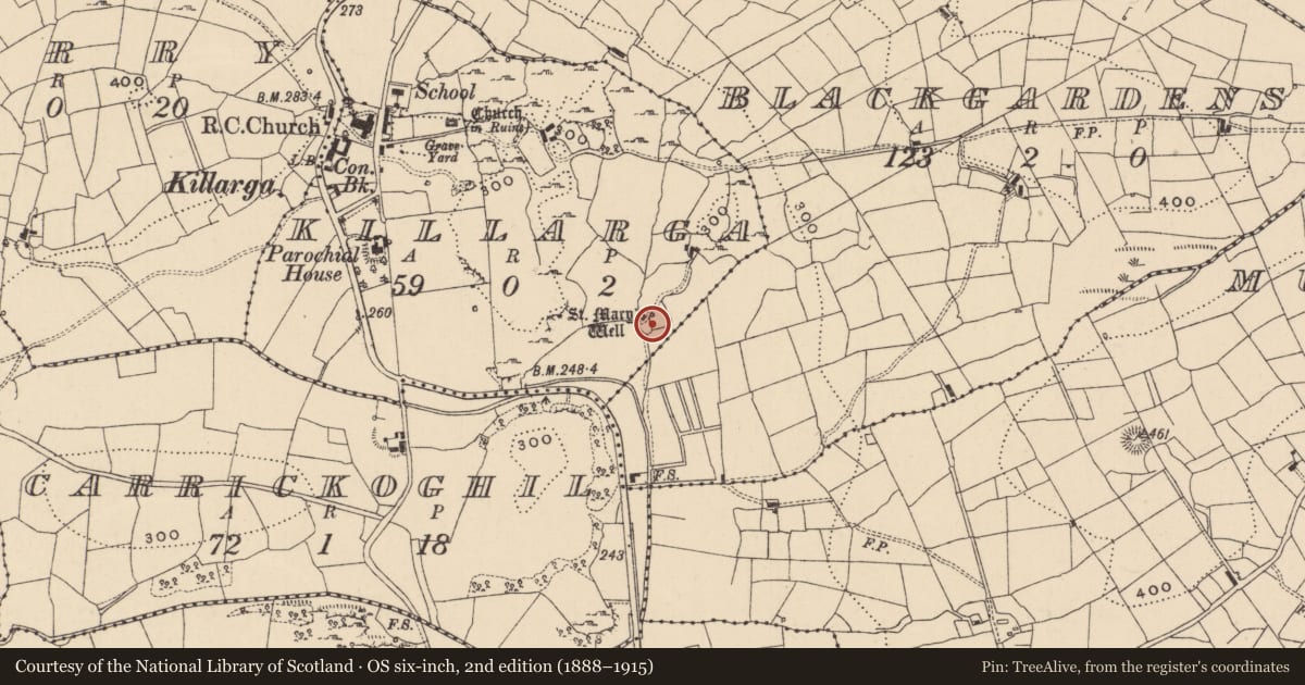 Ordnance Survey six-inch map, 2nd edition (1888–1915) covering the location of Cross, Killarga, County Leitrim, with a pin at the register's coordinates