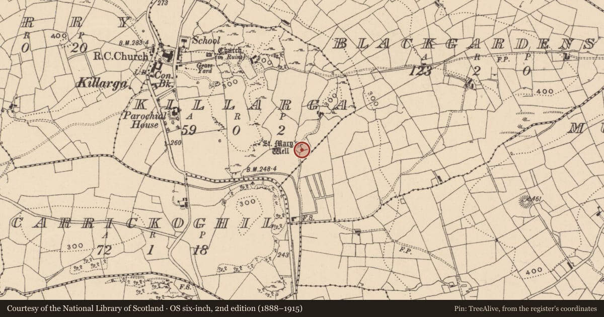 Ordnance Survey six-inch map, 2nd edition (1888–1915) covering the location of Ritual site - holy tree/bush, Killarga, County Leitrim, with a pin at the register's coordinates