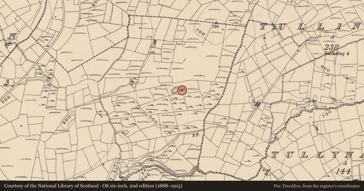 Ordnance Survey six-inch map, 2nd edition (1888–1915) covering the location of Megalithic tomb - court tomb, Mullaghmore, County Leitrim, with a pin at the register's coordinates