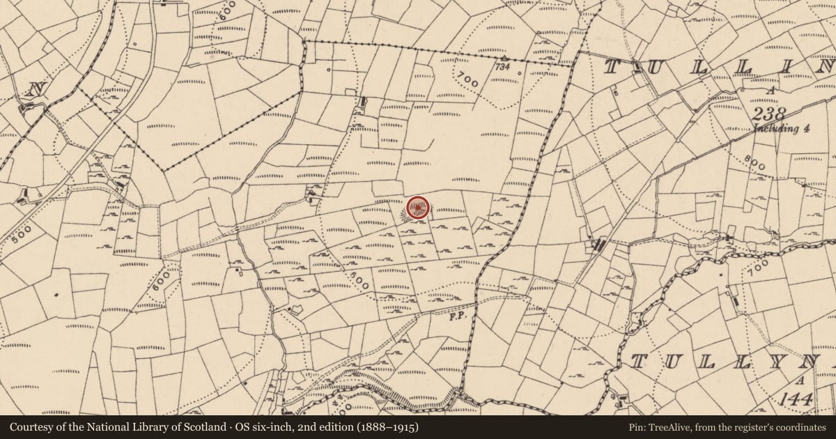 Ordnance Survey six-inch map, 2nd edition (1888–1915) covering the location of Enclosure, Mullaghmore, County Leitrim, with a pin at the register's coordinates
