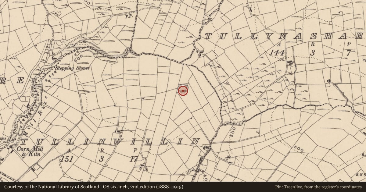 Ordnance Survey six-inch map, 2nd edition (1888–1915) covering the location of House - indeterminate date, Tullinwillin, County Leitrim, with a pin at the register's coordinates