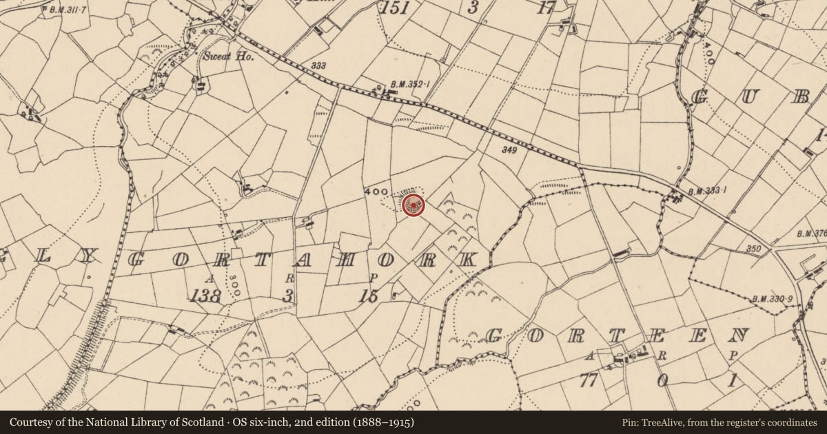 Ordnance Survey six-inch map, 2nd edition (1888–1915) covering the location of Ringfort - rath, Gortahork, County Leitrim, with a pin at the register's coordinates
