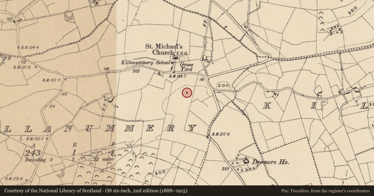 Ordnance Survey six-inch map, 2nd edition (1888–1915) covering the location of Ringfort - unclassified, Killanummery, County Leitrim, with a pin at the register's coordinates