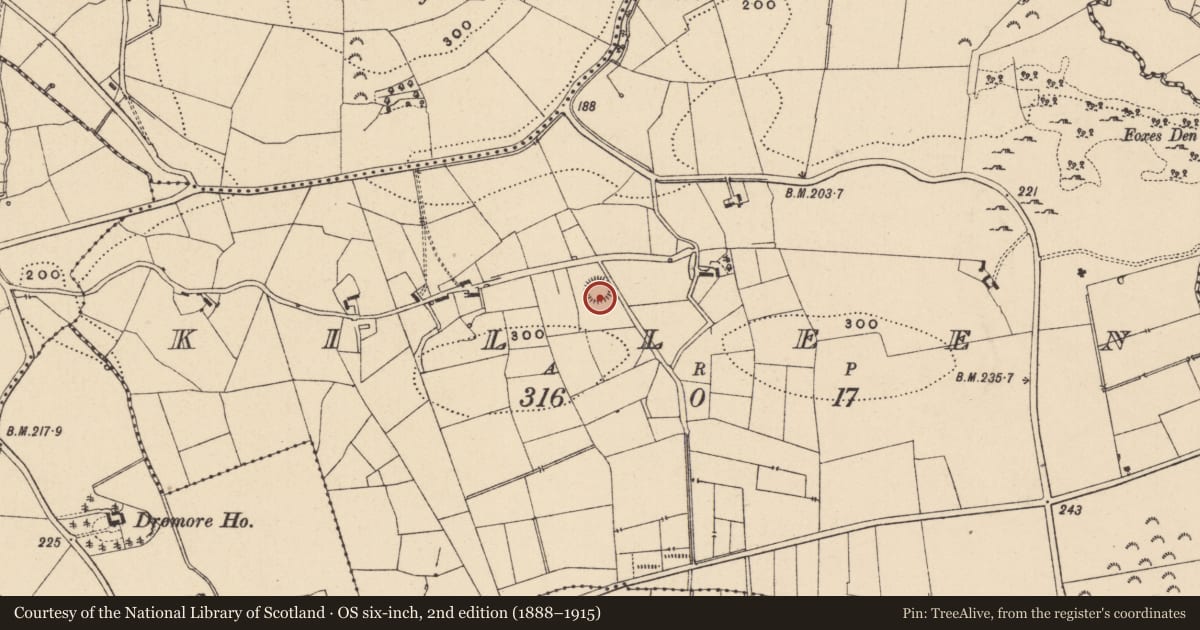 Ordnance Survey six-inch map, 2nd edition (1888–1915) covering the location of Ringfort - rath, Killeen, County Leitrim, with a pin at the register's coordinates
