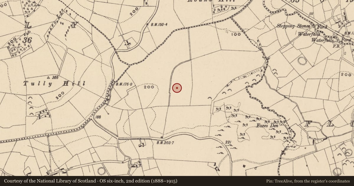 Ordnance Survey six-inch map, 2nd edition (1888–1915) covering the location of Ringfort - rath, Killeen, County Leitrim, with a pin at the register's coordinates