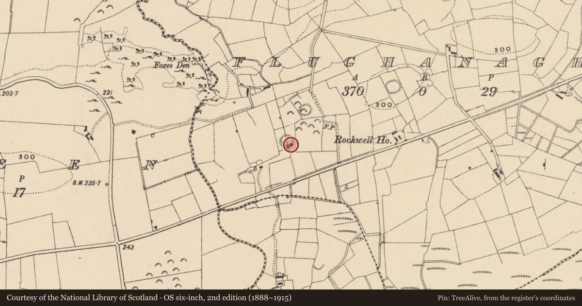 Ordnance Survey six-inch map, 2nd edition (1888–1915) covering the location of Ringfort - rath, Flughanagh, County Leitrim, with a pin at the register's coordinates