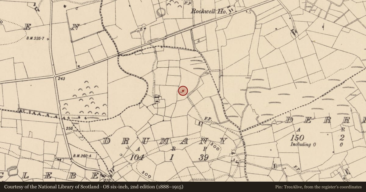 Ordnance Survey six-inch map, 2nd edition (1888–1915) covering the location of Ringfort - rath, Drumany, County Leitrim, with a pin at the register's coordinates