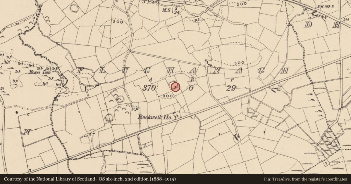 Ordnance Survey six-inch map, 2nd edition (1888–1915) covering the location of Ringfort - rath, Flughanagh, County Leitrim, with a pin at the register's coordinates