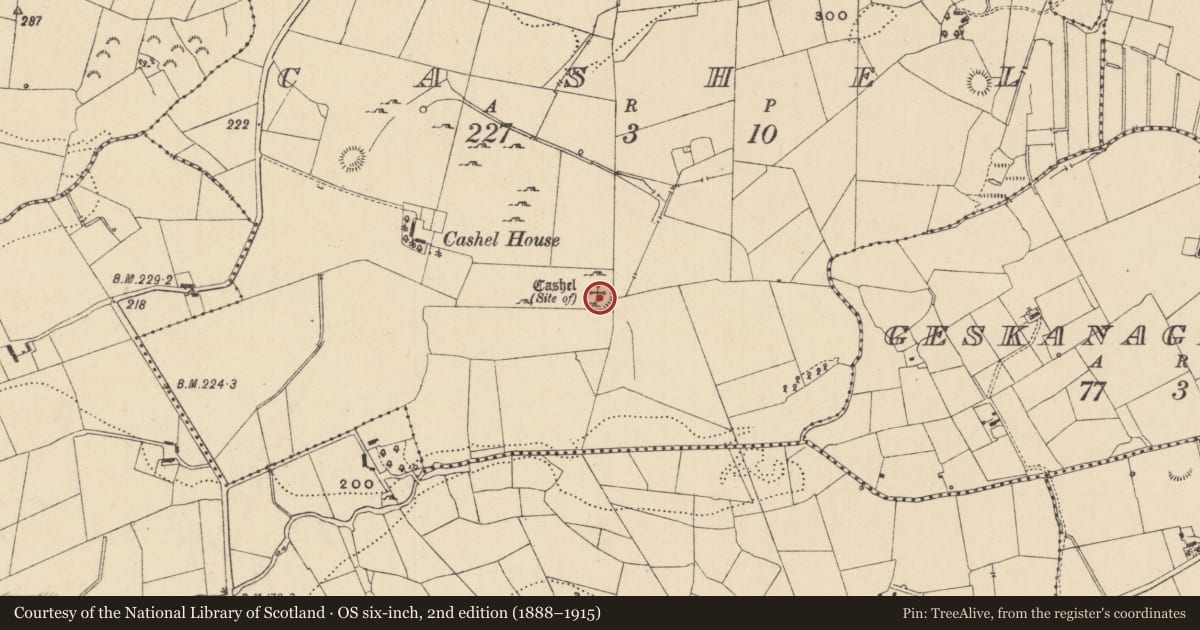 Ordnance Survey six-inch map, 2nd edition (1888–1915) covering the location of Ringfort - cashel, County Leitrim, with a pin at the register's coordinates