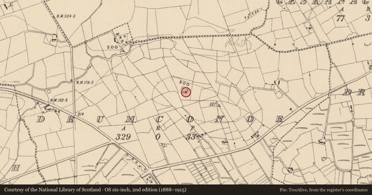 Ordnance Survey six-inch map, 2nd edition (1888–1915) covering the location of Ringfort - rath, Drumconor, County Leitrim, with a pin at the register's coordinates