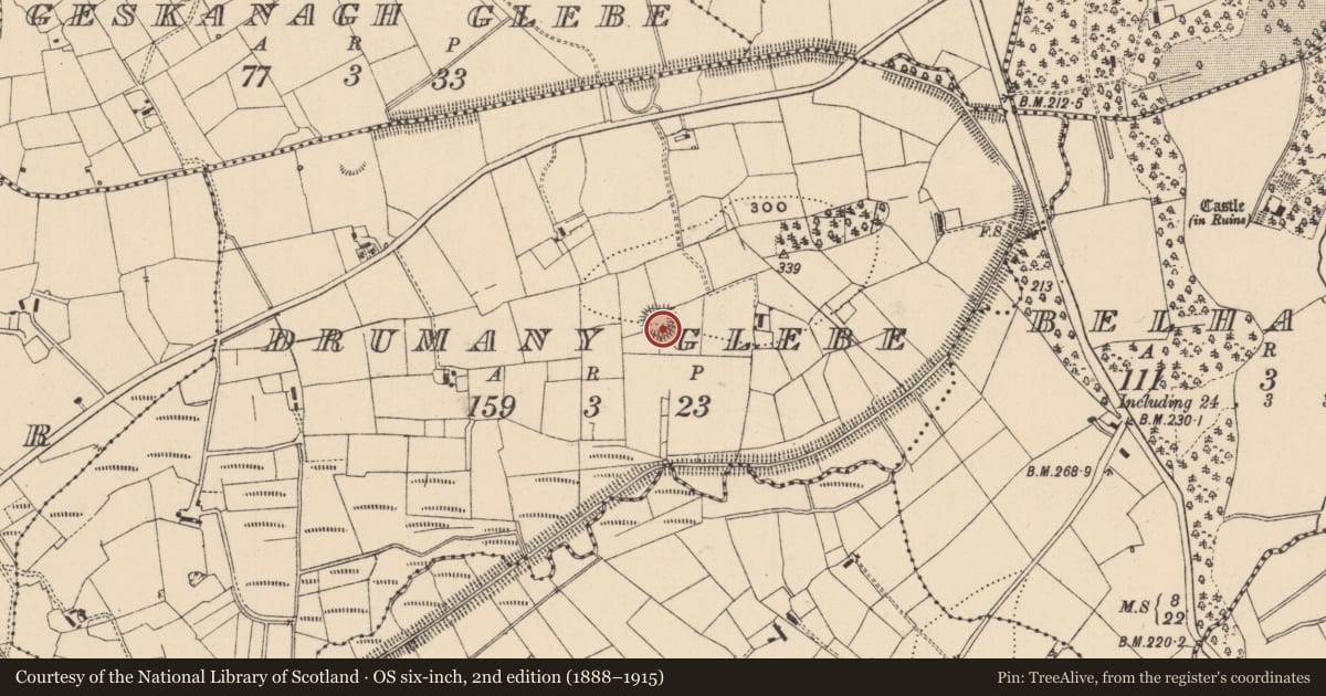 Ordnance Survey six-inch map, 2nd edition (1888–1915) covering the location of Ringfort - rath, Drumany Glebe, County Leitrim, with a pin at the register's coordinates