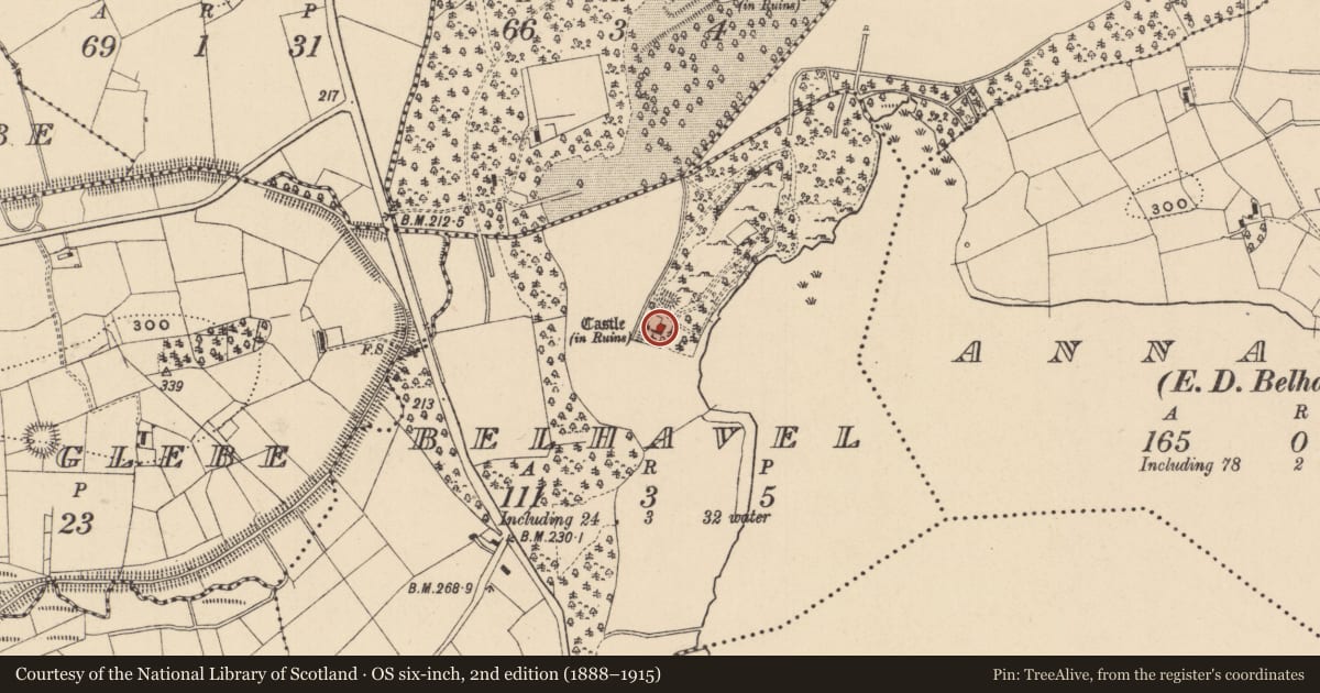 Ordnance Survey six-inch map, 2nd edition (1888–1915) covering the location of House - 17th century, Belhavel, County Leitrim, with a pin at the register's coordinates