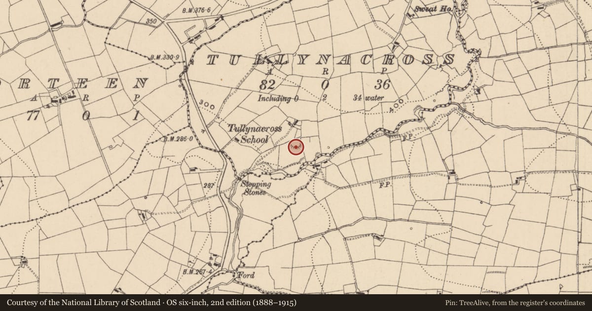 Ordnance Survey six-inch map, 2nd edition (1888–1915) covering the location of Ringfort - rath, Tullynacross, County Leitrim, with a pin at the register's coordinates