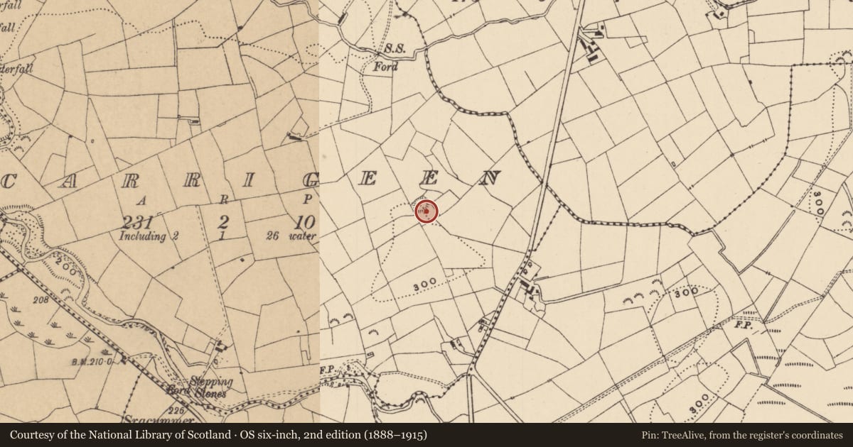 Ordnance Survey six-inch map, 2nd edition (1888–1915) covering the location of Ringfort - rath, Carrigeen, County Leitrim, with a pin at the register's coordinates