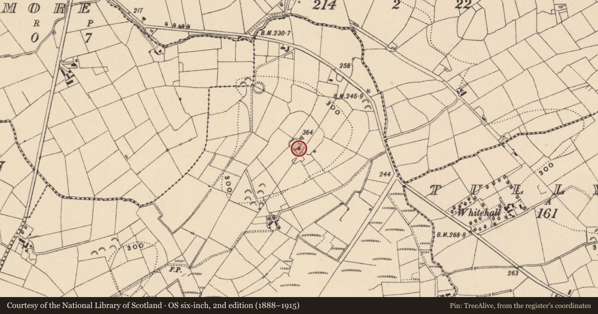 Ordnance Survey six-inch map, 2nd edition (1888–1915) covering the location of Ringfort - rath, Corglancey, County Leitrim, with a pin at the register's coordinates