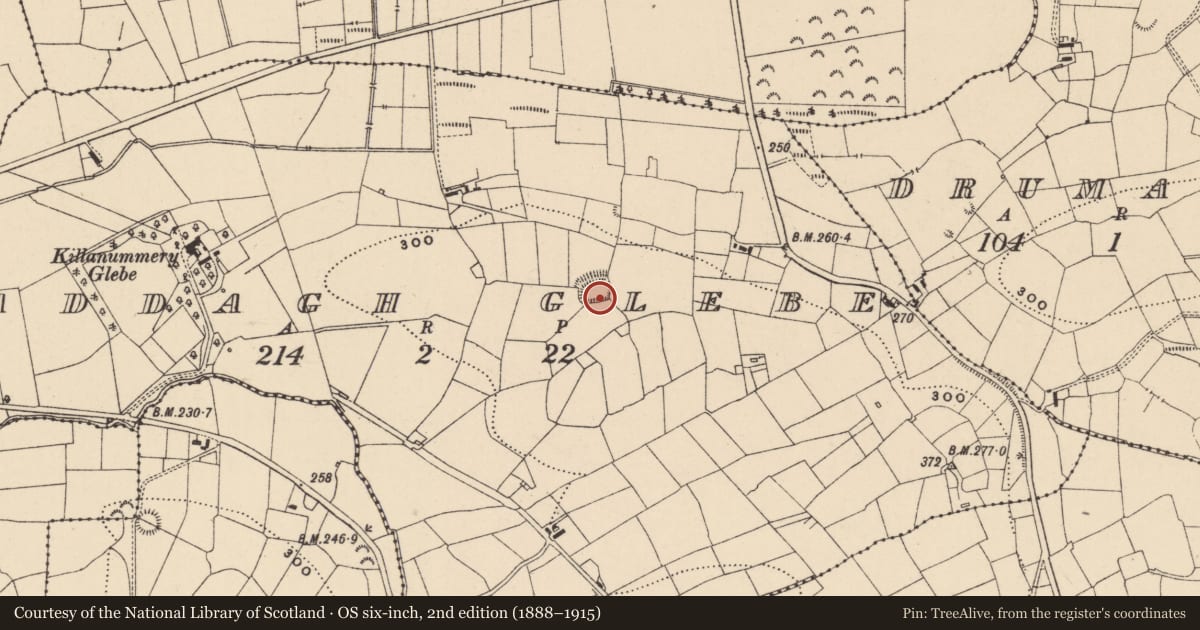 Ordnance Survey six-inch map, 2nd edition (1888–1915) covering the location of Ringfort - rath, Caddagh Glebe, County Leitrim, with a pin at the register's coordinates
