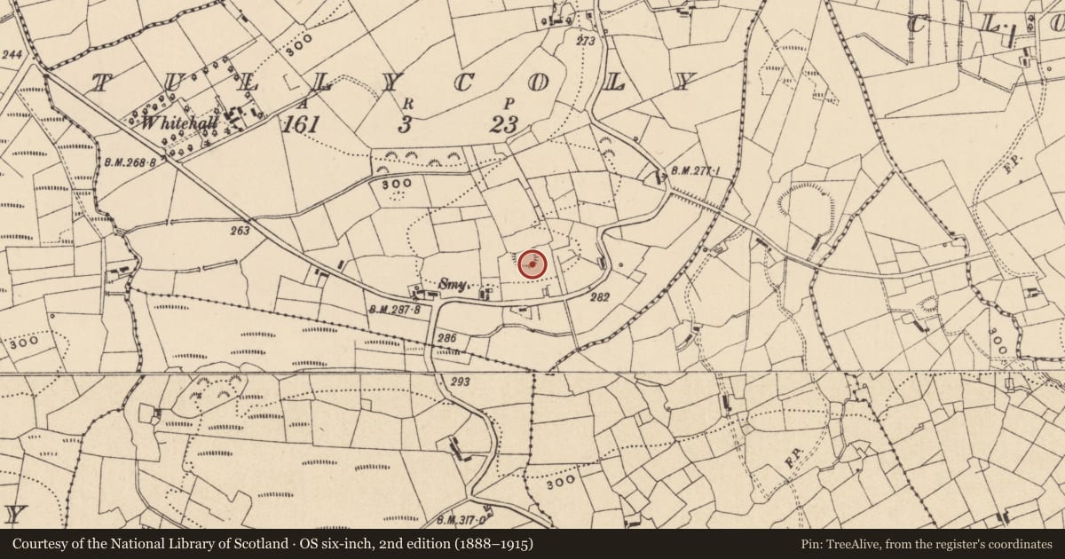 Ordnance Survey six-inch map, 2nd edition (1888–1915) covering the location of Ringfort - rath, Tullycoly, County Leitrim, with a pin at the register's coordinates