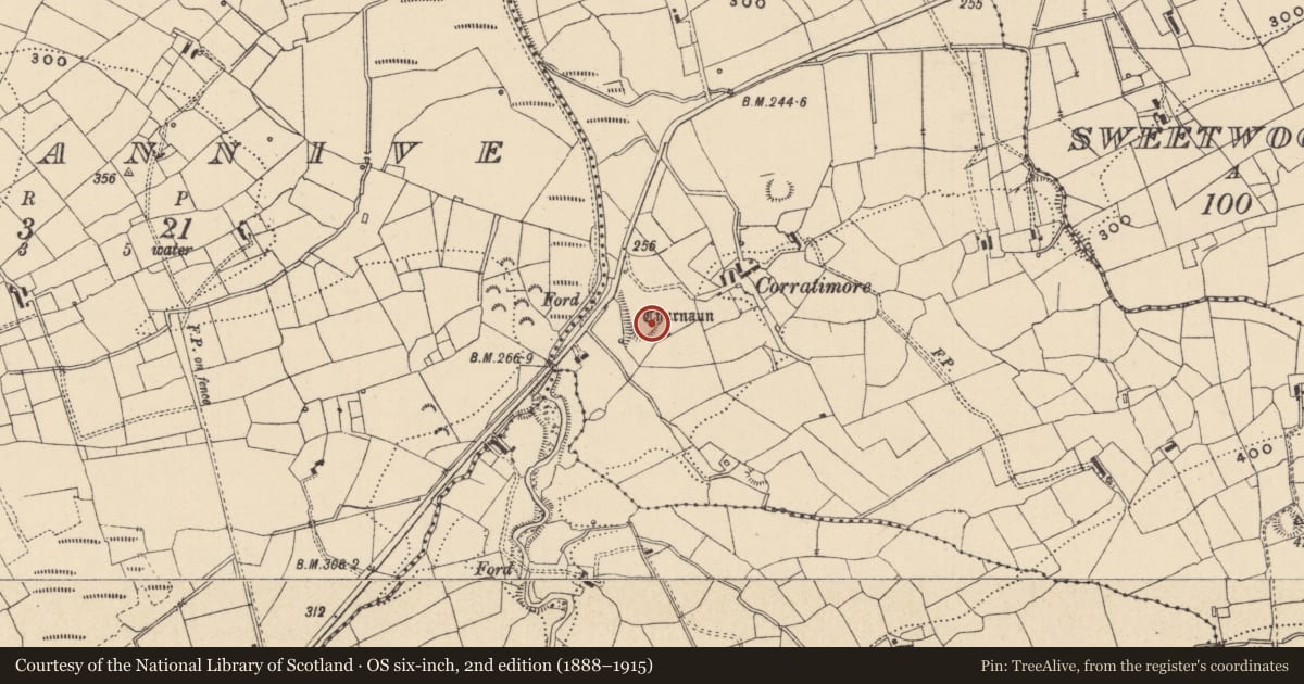 Ordnance Survey six-inch map, 2nd edition (1888–1915) covering the location of Ringfort - unclassified, Corratimore Glebe, County Leitrim, with a pin at the register's coordinates