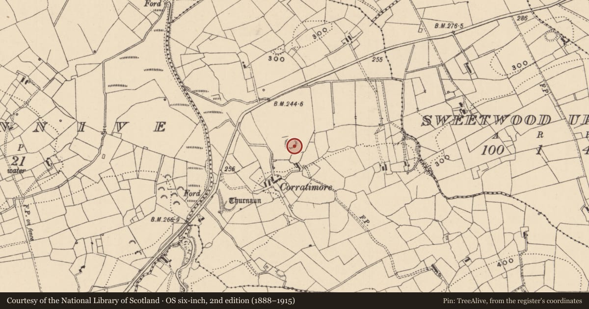 Ordnance Survey six-inch map, 2nd edition (1888–1915) covering the location of Ringfort - rath, Corratimore Glebe, County Leitrim, with a pin at the register's coordinates