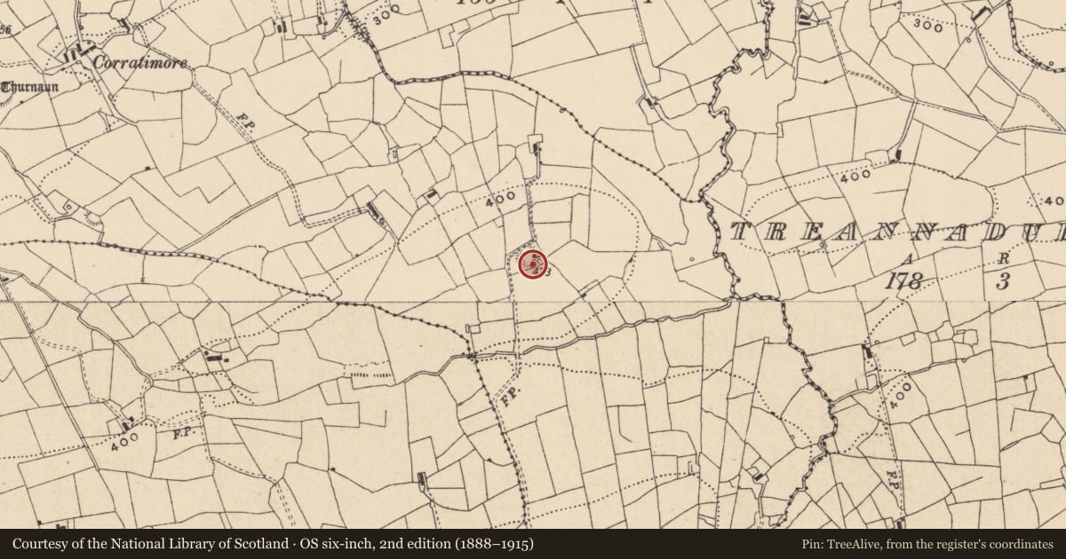 Ordnance Survey six-inch map, 2nd edition (1888–1915) covering the location of Ringfort - rath, Corratimore Glebe, County Leitrim, with a pin at the register's coordinates