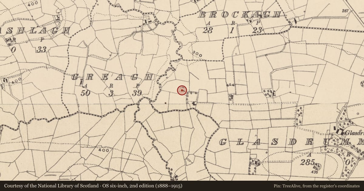 Ordnance Survey six-inch map, 2nd edition (1888–1915) covering the location of Ringfort - unclassified, Glasdrumman More, County Leitrim, with a pin at the register's coordinates