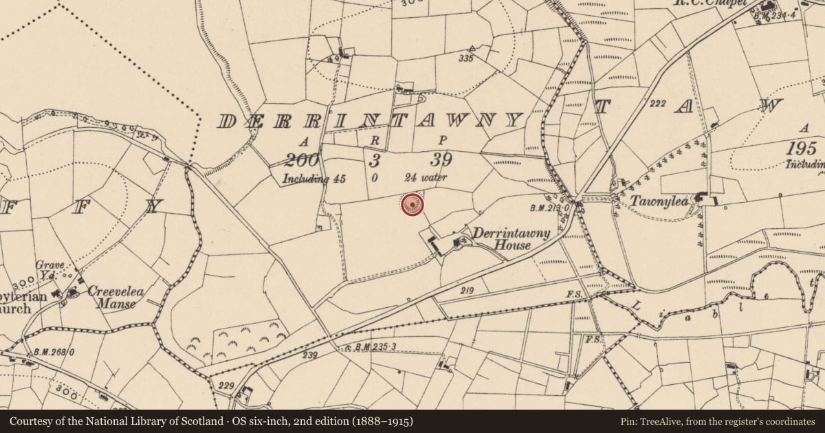 Ordnance Survey six-inch map, 2nd edition (1888–1915) covering the location of Ringfort - rath, Derrintawny, County Leitrim, with a pin at the register's coordinates