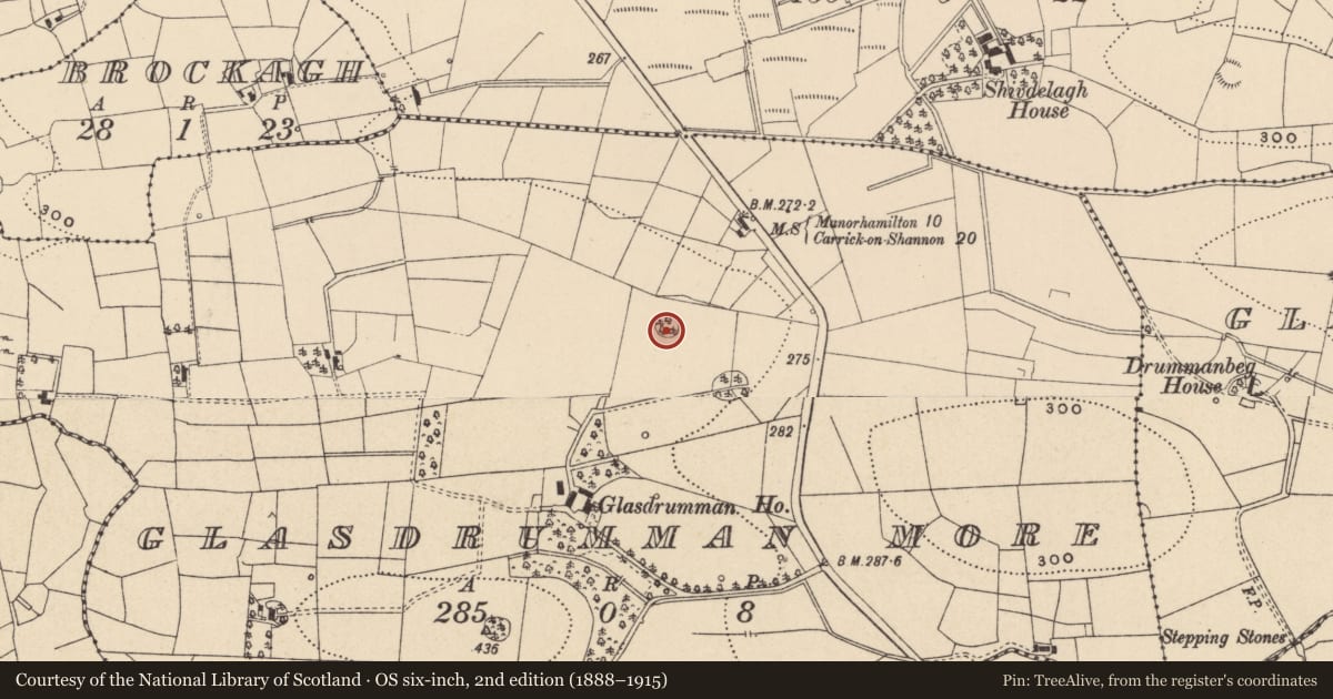 Ordnance Survey six-inch map, 2nd edition (1888–1915) covering the location of Designed landscape - tree-ring, Glasdrumman More, County Leitrim, with a pin at the register's coordinates