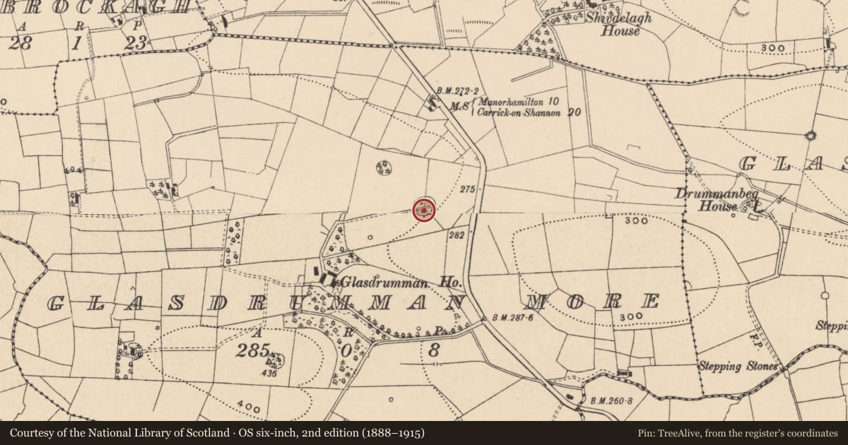 Ordnance Survey six-inch map, 2nd edition (1888–1915) covering the location of Designed landscape - tree-ring, Glasdrumman More, County Leitrim, with a pin at the register's coordinates
