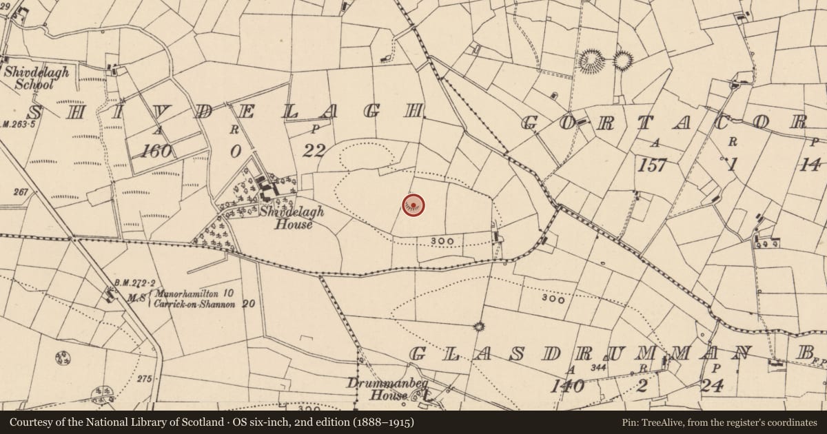 Ordnance Survey six-inch map, 2nd edition (1888–1915) covering the location of Ringfort - rath, Shivdelagh, County Leitrim, with a pin at the register's coordinates