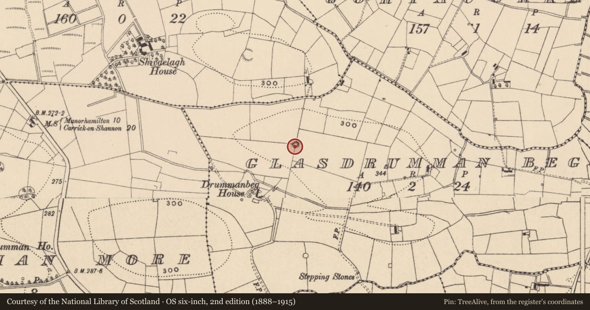 Ordnance Survey six-inch map, 2nd edition (1888–1915) covering the location of Designed landscape - tree-ring, Glasdrumman Beg, County Leitrim, with a pin at the register's coordinates