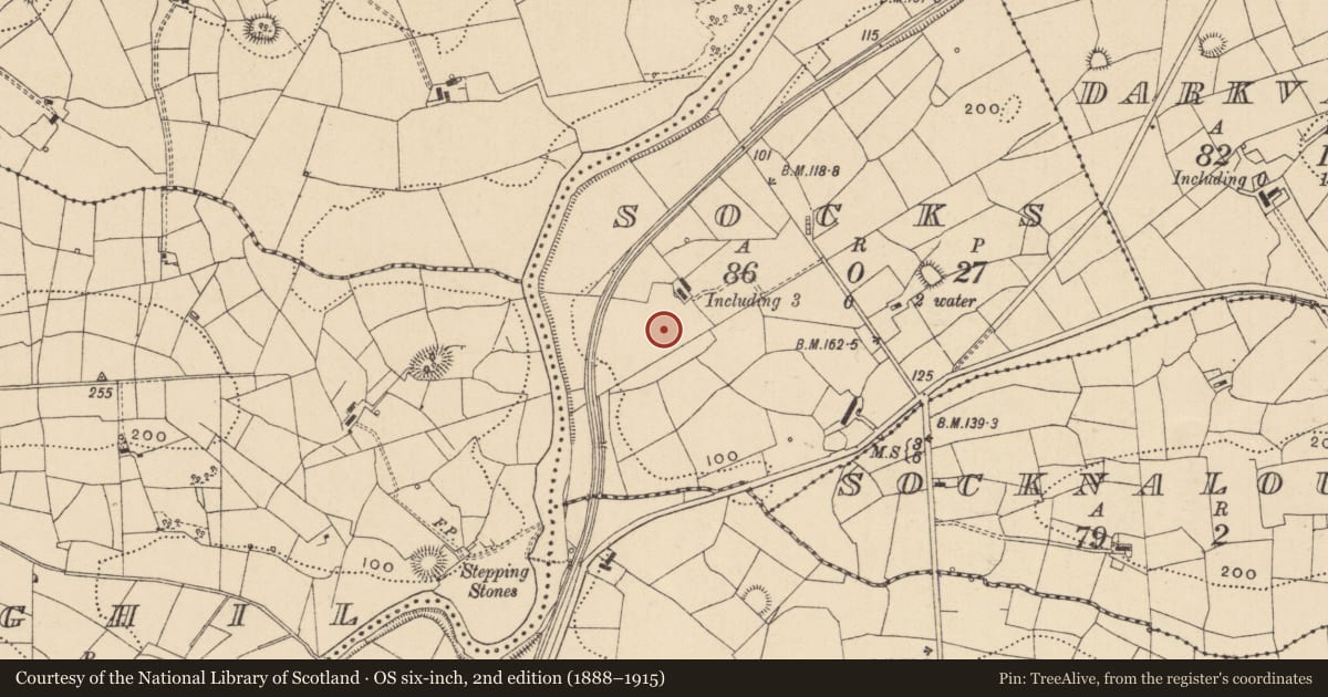 Ordnance Survey six-inch map, 2nd edition (1888–1915) covering the location of Souterrain, Socks, County Leitrim, with a pin at the register's coordinates
