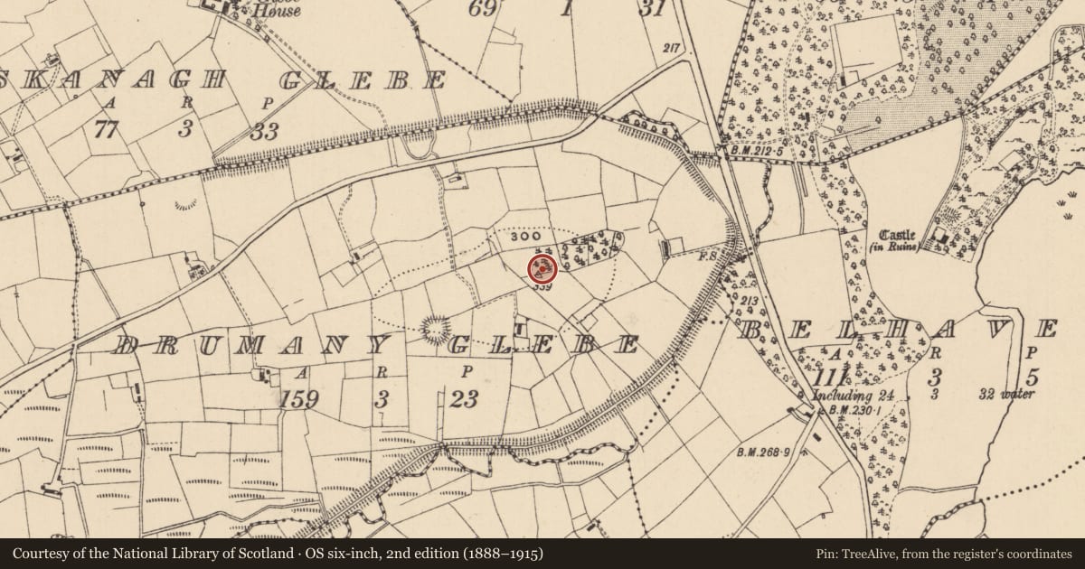 Ordnance Survey six-inch map, 2nd edition (1888–1915) covering the location of Bullaun stone, Drumany Glebe, County Leitrim, with a pin at the register's coordinates