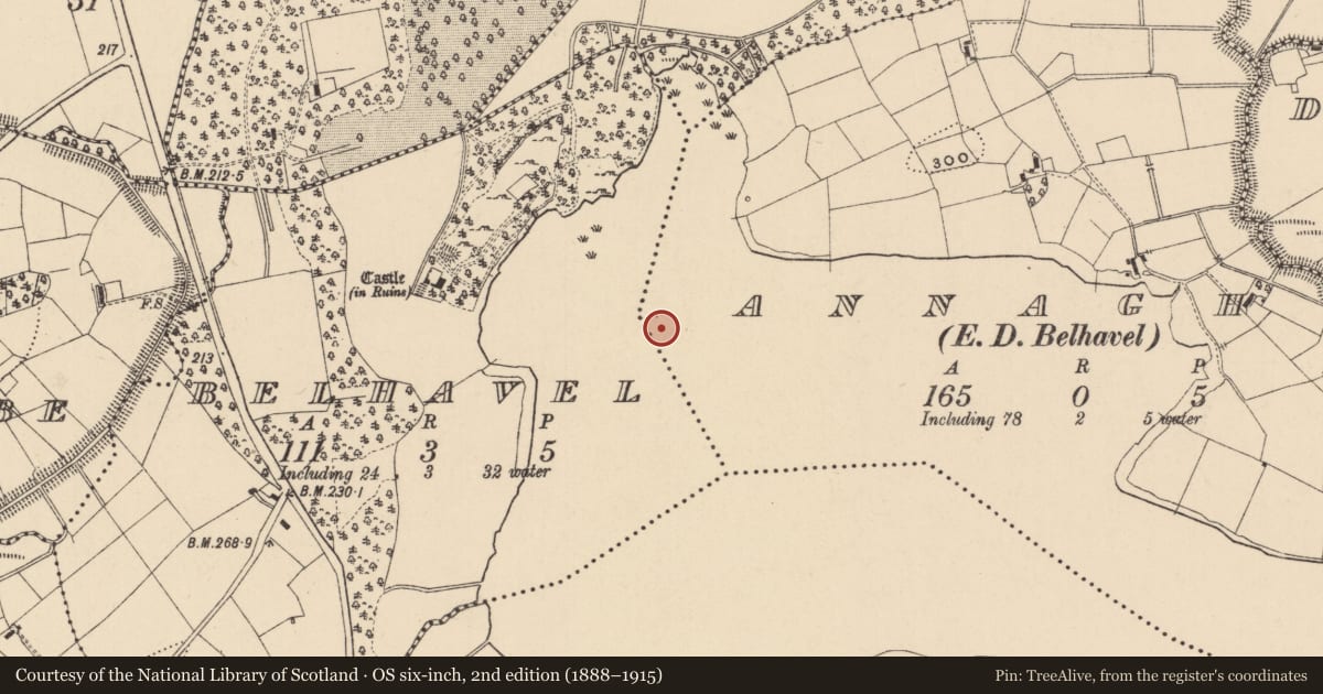 Ordnance Survey six-inch map, 2nd edition (1888–1915) covering the location of Crannog, Annagh, Belhavel, County Leitrim, with a pin at the register's coordinates