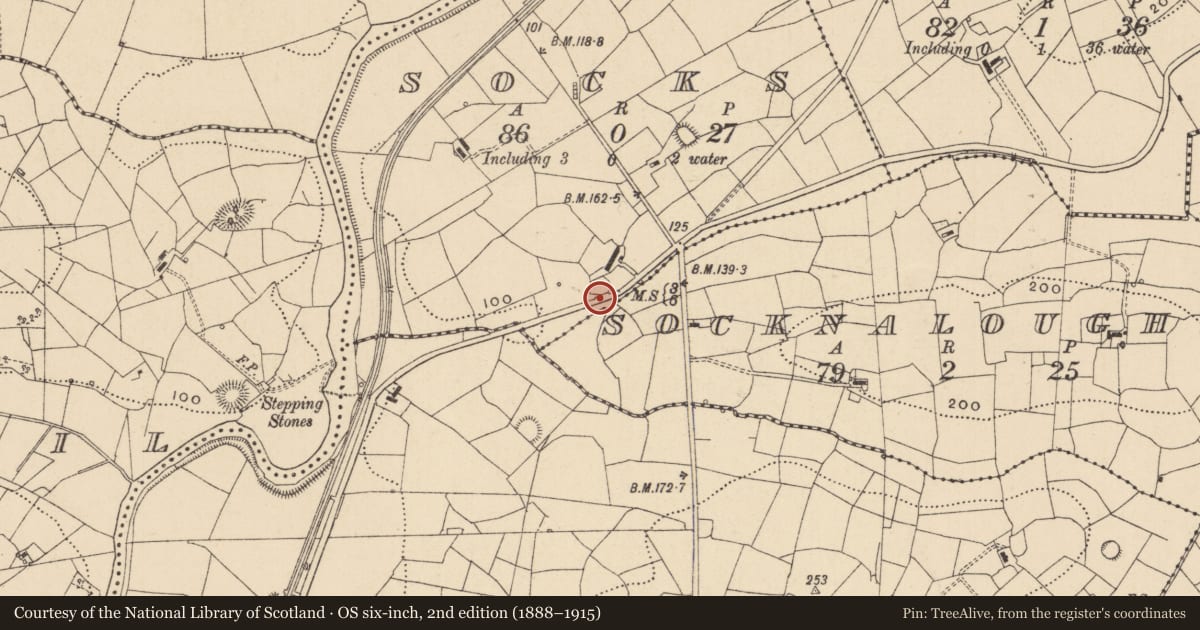 Ordnance Survey six-inch map, 2nd edition (1888–1915) covering the location of Ringfort - rath, Socks, County Leitrim, with a pin at the register's coordinates
