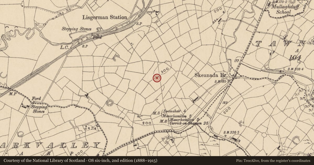 Ordnance Survey six-inch map, 2nd edition (1888–1915) covering the location of Ringfort - rath, Lisgorman, County Leitrim, with a pin at the register's coordinates