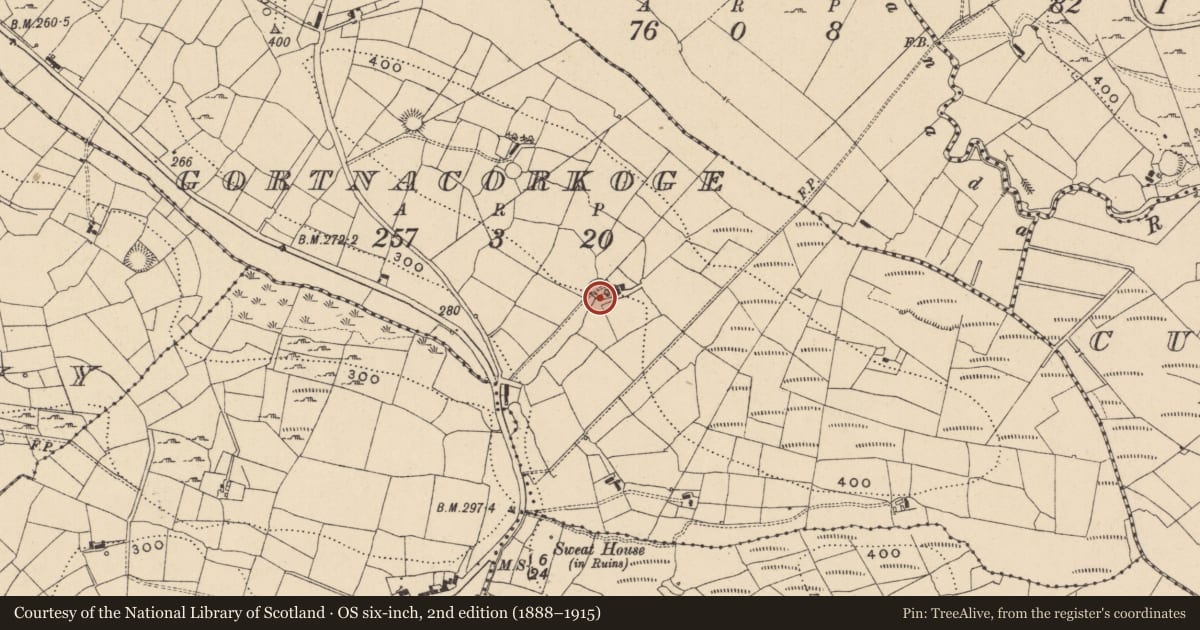 Ordnance Survey six-inch map, 2nd edition (1888–1915) covering the location of Ringfort - cashel, Gortnacorkoge, County Leitrim, with a pin at the register's coordinates
